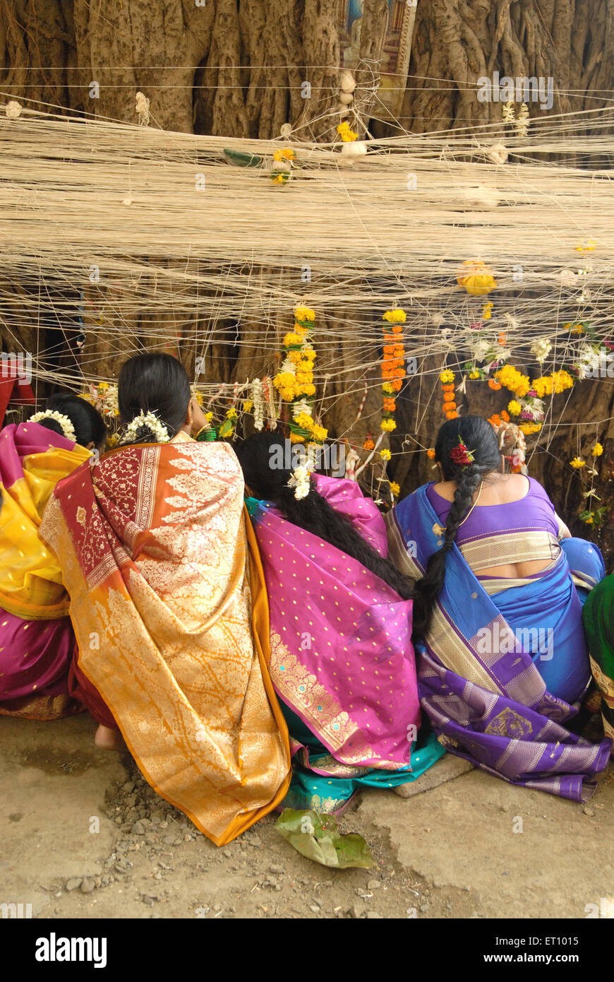 Indische Frauen, die mit banyan Tree Andre, VAT Savitri Festival, VAT Purnima Festival, Bombay, Mumbai, Maharashtra, Indien Stockfoto