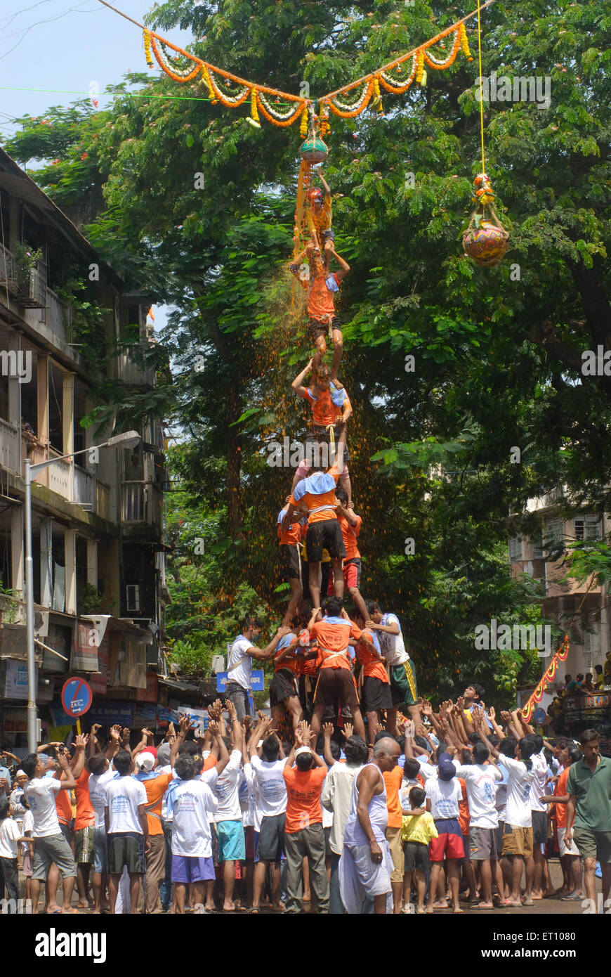 Menschenpyramide Dahi Handi auf Janmashtami Festival in Dadar brechen; Bombay; Mumbai; Maharashtra; Indien Stockfoto