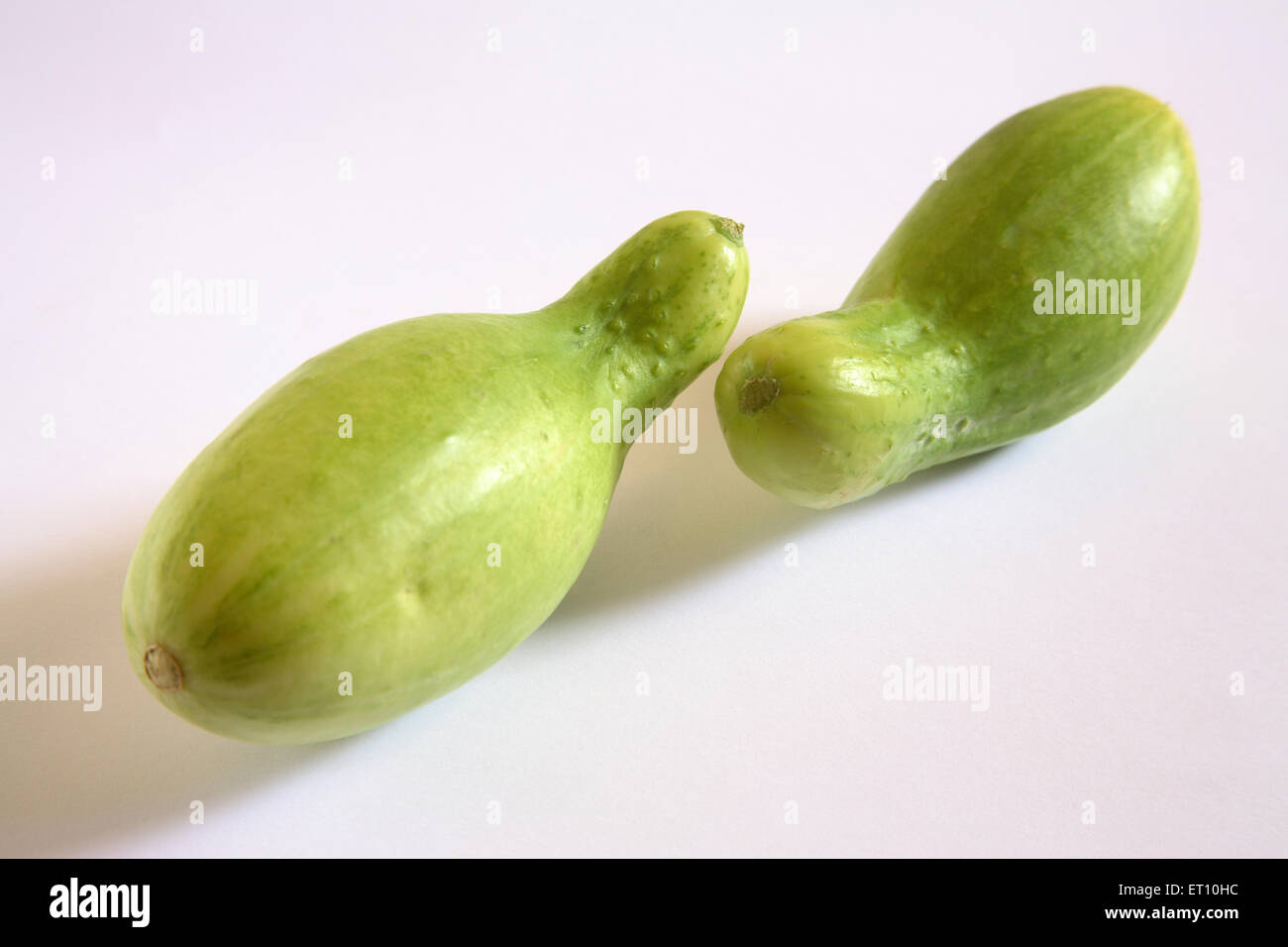 Grünes Gemüse; Kakri Gurken Cucumis Utilissimus auf weißem Hintergrund Stockfoto