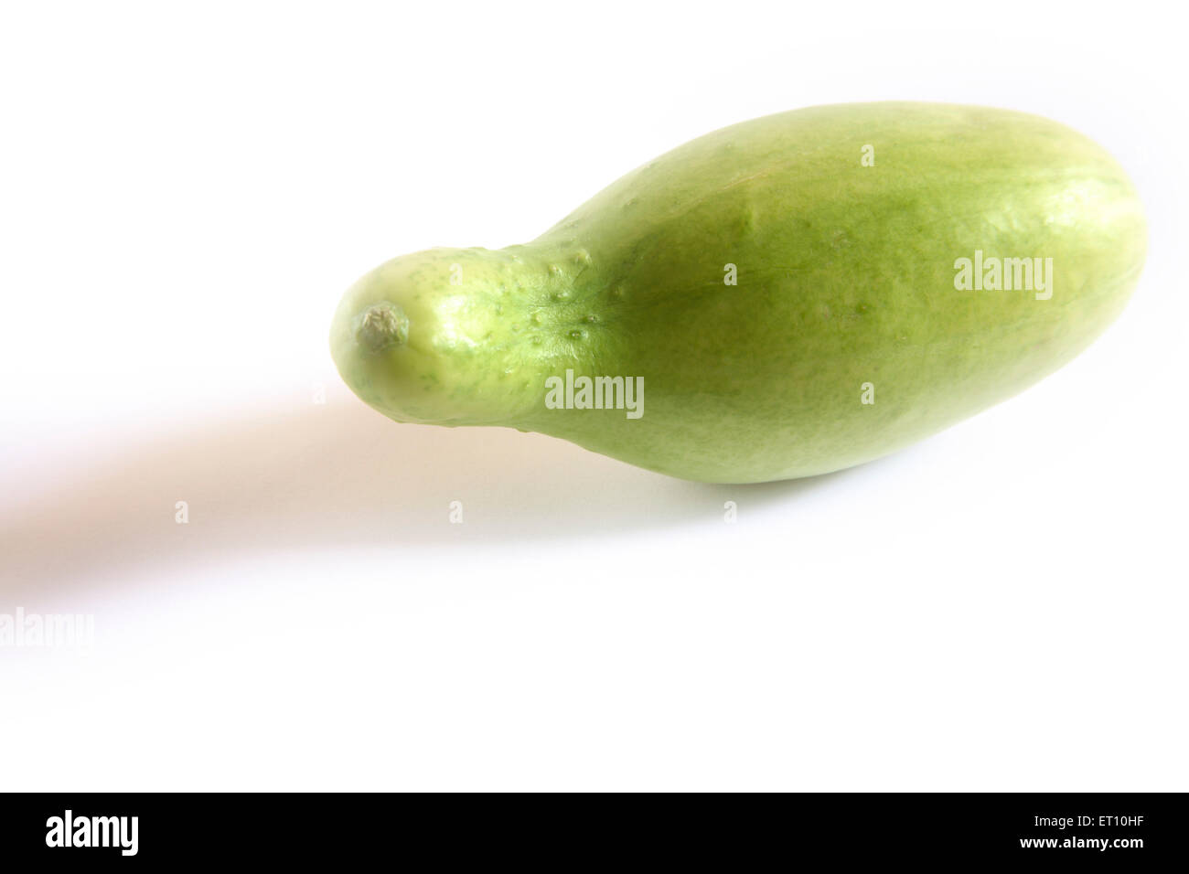 Grünes Gemüse; Kakri Gurke Cucumis Utilissimus auf weißem Hintergrund Stockfoto