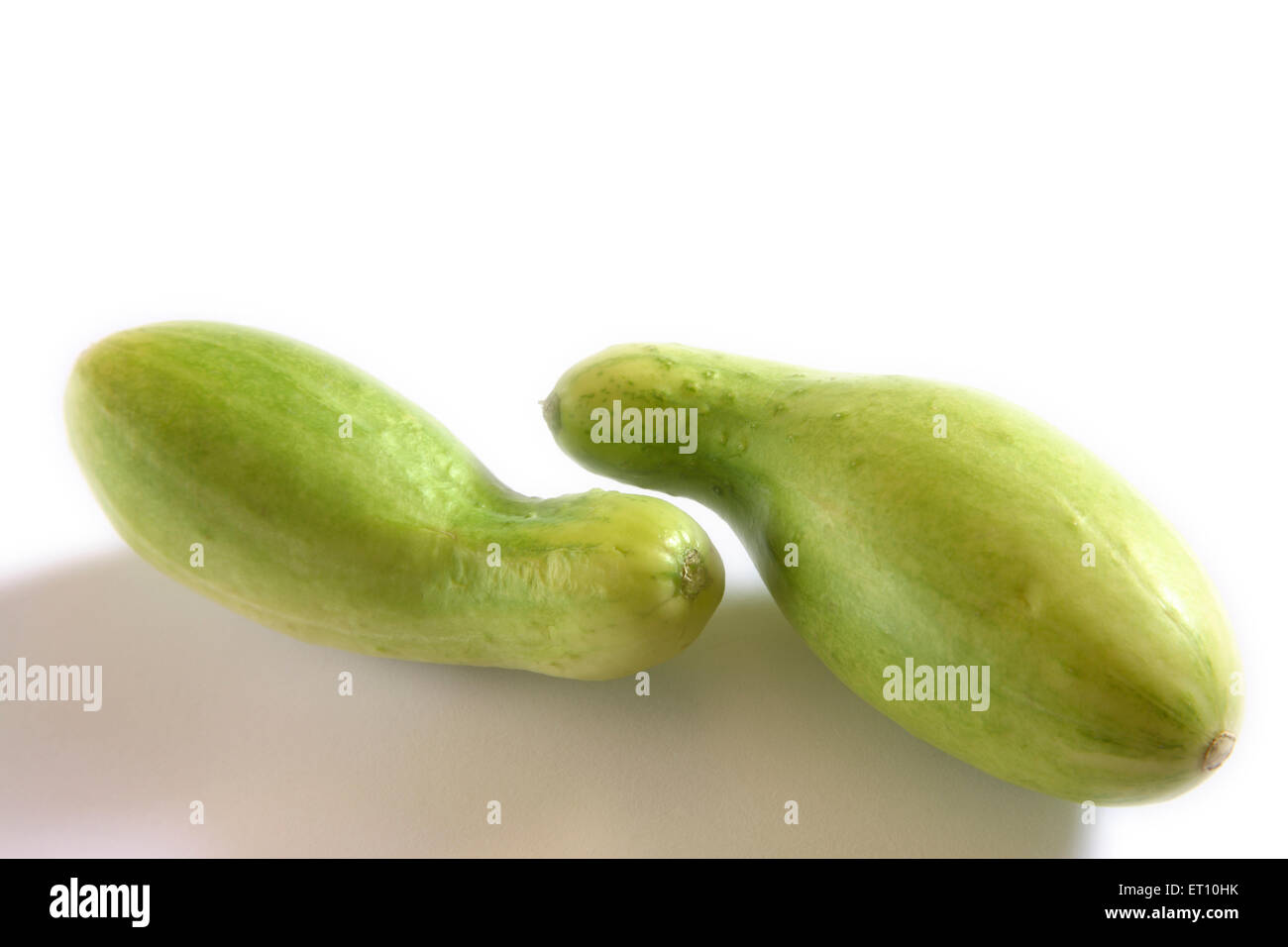 Grünes Gemüse; Kakri Gurken Cucumis Utilissimus auf weißem Hintergrund Stockfoto