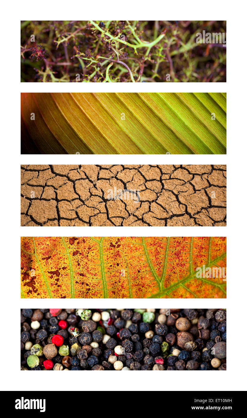 Verschiedene natürliche Texturen und Hintergründen auf einer collage Stockfoto