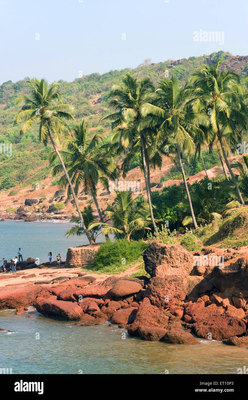 Kokospalmen Hügel und Felsen am Anjuna Strand; Goa; Indien Stockfoto