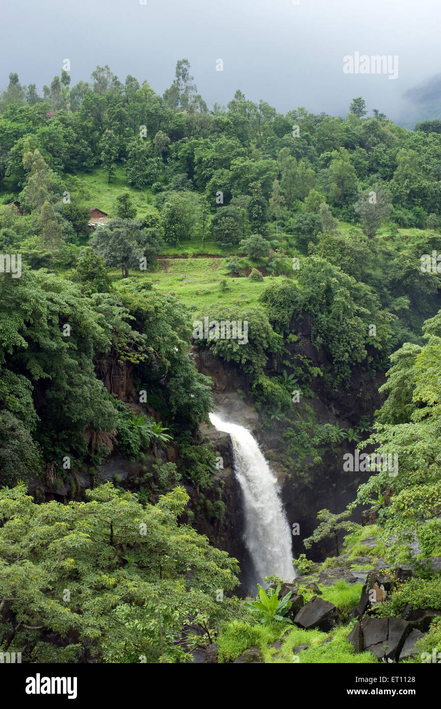 Wasserfall Ahmednager Maharashtra Indien Stockfoto