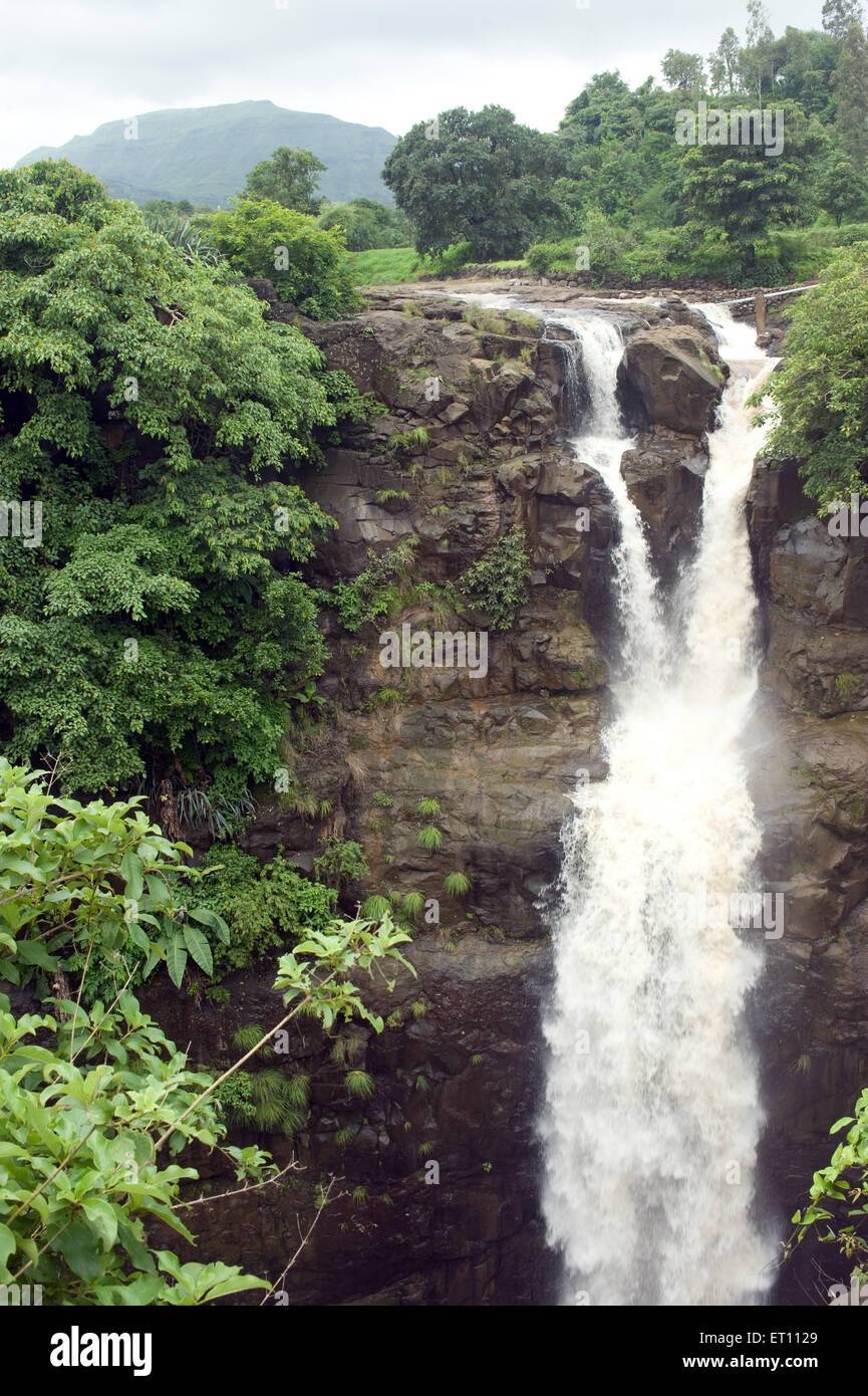 Wasserfall Ahmednager Maharashtra Indien Asien Stockfoto