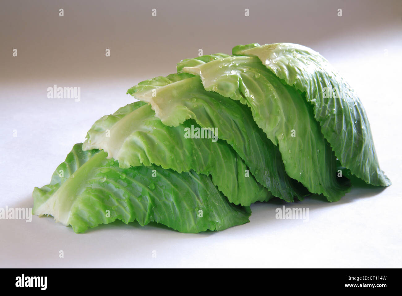 Grünes Gemüse; Wassertropfen auf Pattagobi Kohl auf weißem Hintergrund Stockfoto