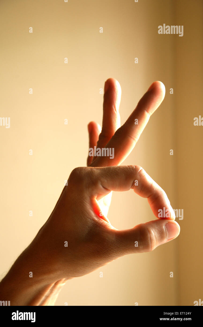 Daumen und Zeigefinger drücken, Zeigefinger, erster Finger, zweiter Finger, Zeigefinger, Auslösefinger, digitus secundus, digitus II, MR#201 Stockfoto