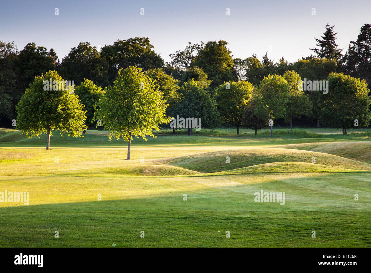 Ein Bunker auf einem typischen Golfplatz in der frühen Morgensonne. Stockfoto