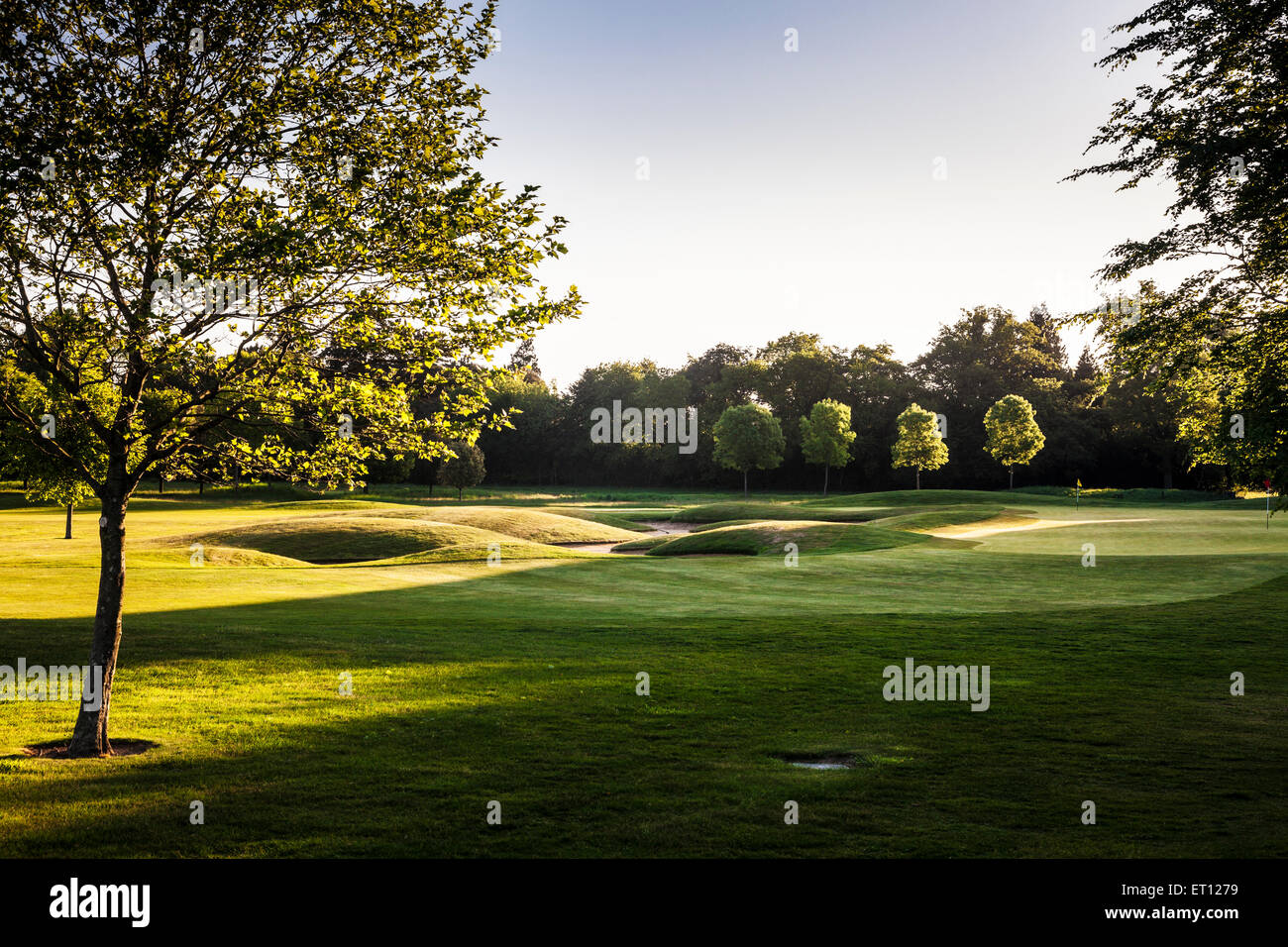Ein typischer Golfplatz in der frühen Morgensonne. Stockfoto