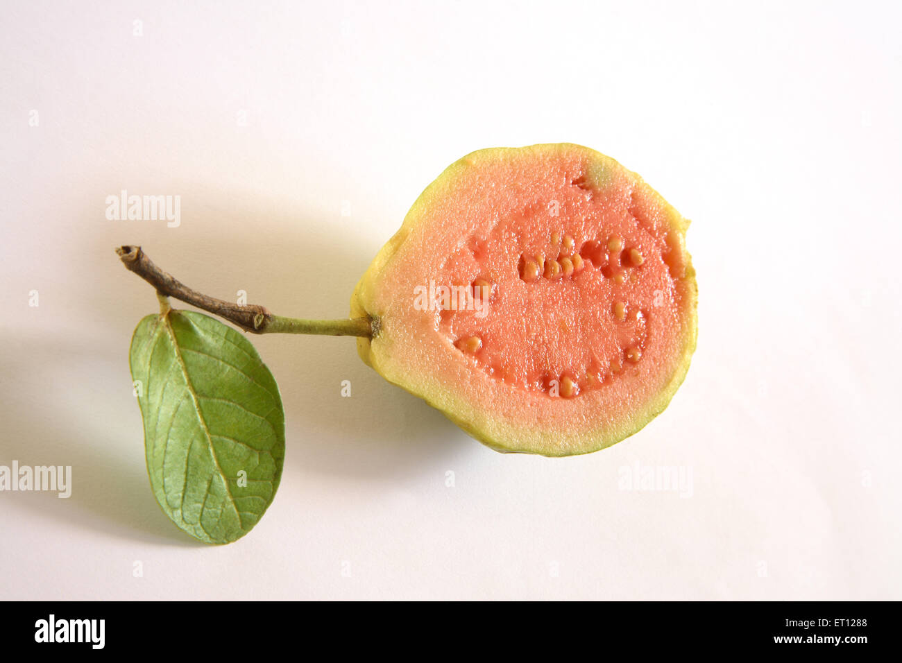 Früchte; Amrood halbe Guave Guave Guyava mit grünen Blatt auf weißem Hintergrund Stockfoto