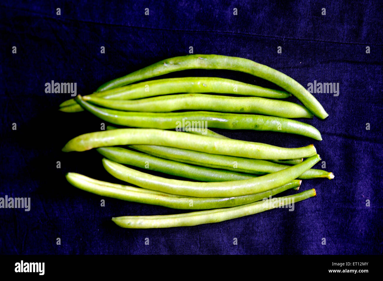 Grüne Bohnen Indien Asien Stockfoto