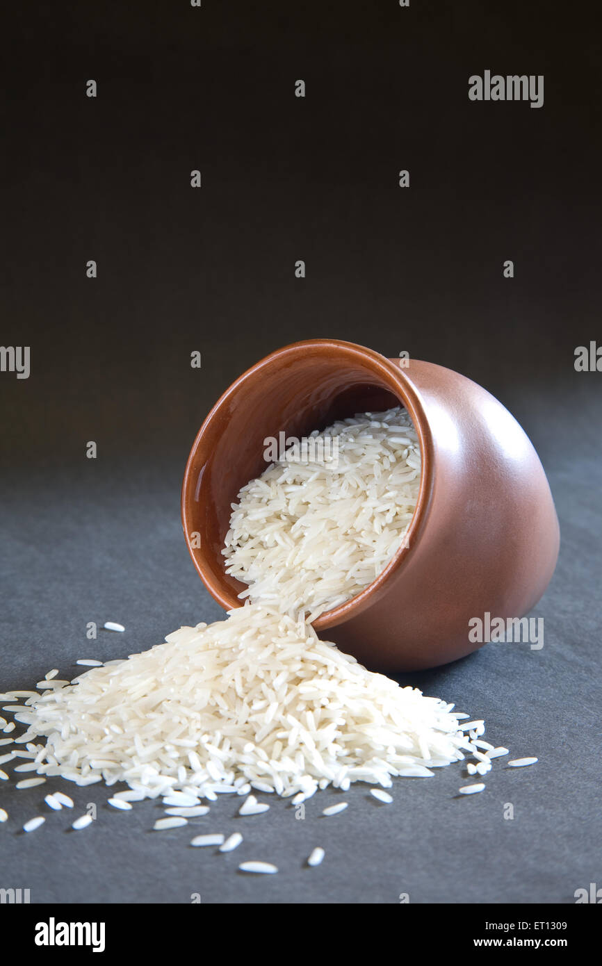 Körner; Basmati Reis Oryza Sativa in irdenen Topf verteilt auf schwarzem Hintergrund 20. Mai 2010 Stockfoto