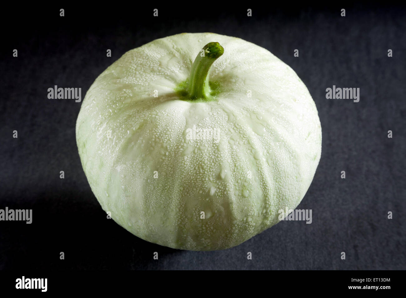 Aschekürbis, Benincasa hispida, Wintermelone, Wachskürbis, weißer Kürbis, Chinesische Wassermelone, schwarzer Hintergrund Stockfoto