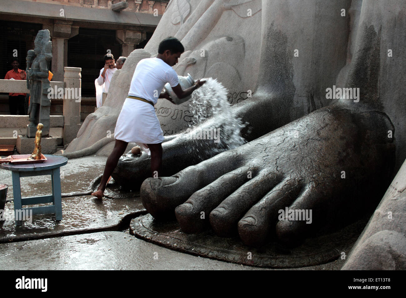 Jain eifriger Anhänger gießt Wasser am Fuße des Heiligen Gomateshwara Bahubali; Shravanbelagola; Hassan; Karnataka; Indien Stockfoto