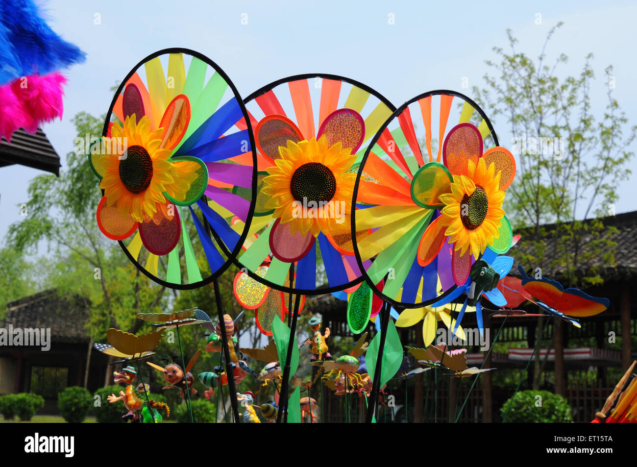 Pinwheels, Dongyang, Jinhua, Zhejiang, China, Chinesisch Stockfoto