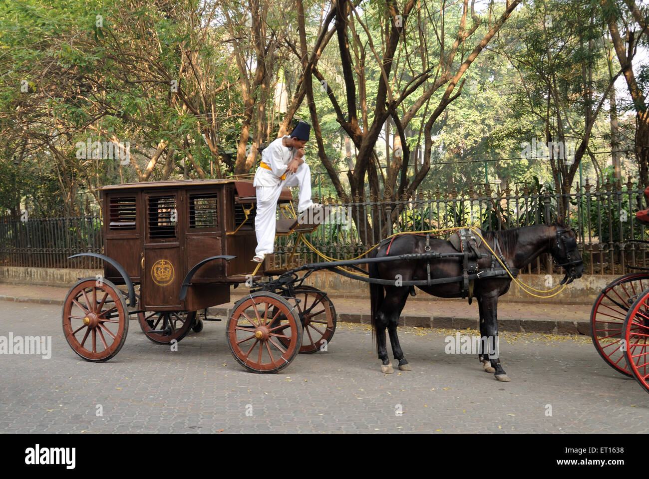 Altes Pferd Kutsche gefahren; Bombay Mumbai; Maharashtra; Indien Stockfoto