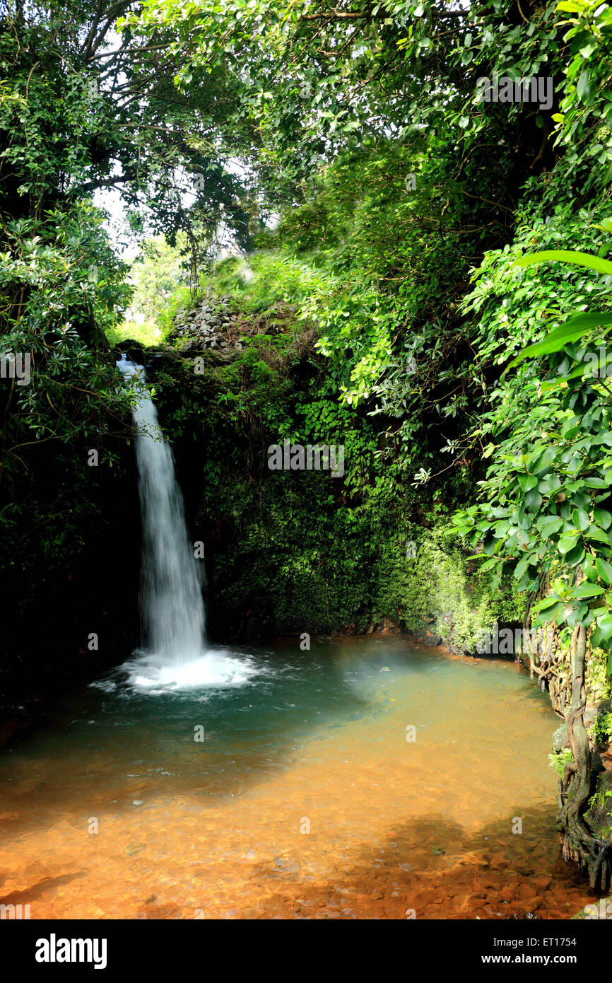 Apsara fällt Gokarna Karnataka Indien Asien Stockfoto