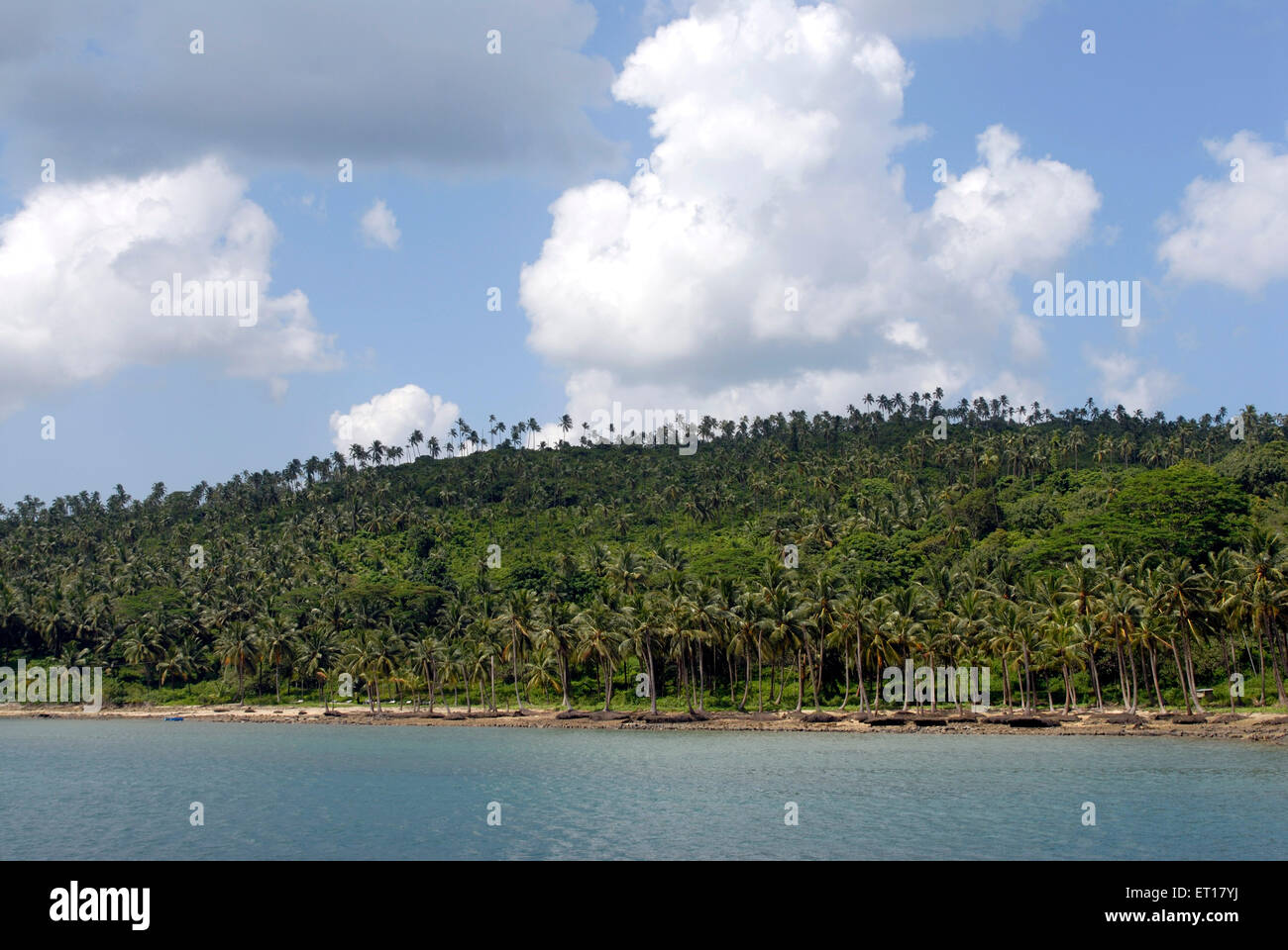 Ross-Inseln; South Andaman Inseln; Golf von Bengalen; Indien Oktober 2008 Stockfoto