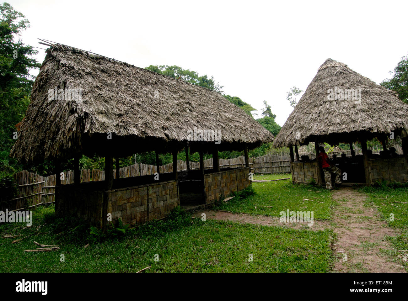Strohgedeckte Dachhütten, Baratang Island, Andaman Islands, Port Blair, Andaman Islands und Nicobar Islands, Unionsgebiet Indiens, UT, Indien Stockfoto