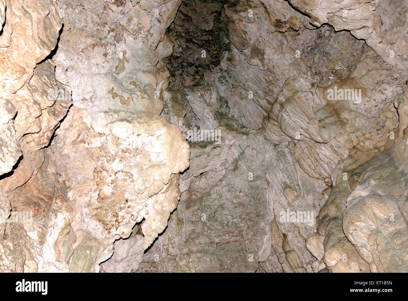 Kalkstein natürlich anders gestalten und Formen in Höhlen; Baratang Inseln; Andaman Inseln; Golf von Bengalen Stockfoto