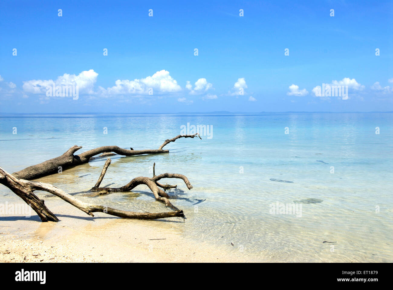 Havelock radhanagar Strand; Inseln; Golf von Bengalen; Andaman und Nicobar Inseln; Indien Stockfoto