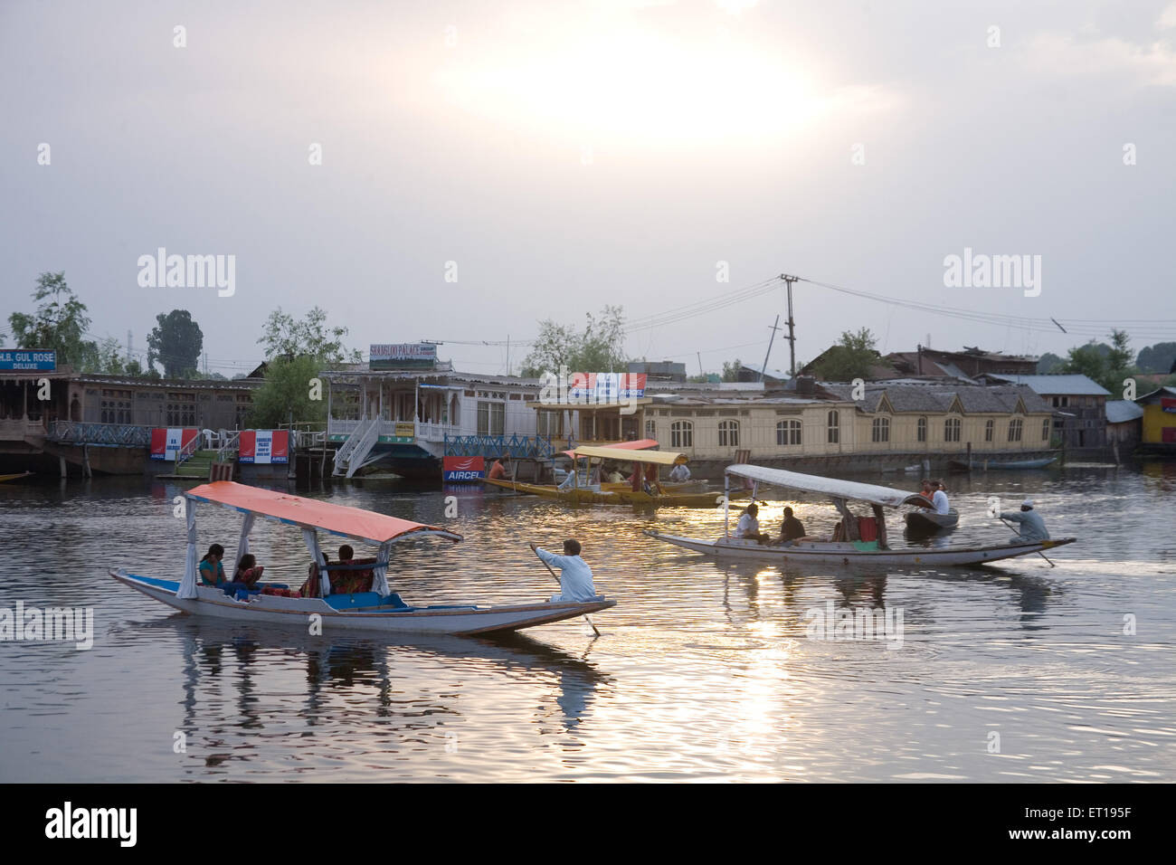 Shikara Boote in dal-See bei Sonnenuntergang; Srinagar; Jammu und Kaschmir; Indien Stockfoto