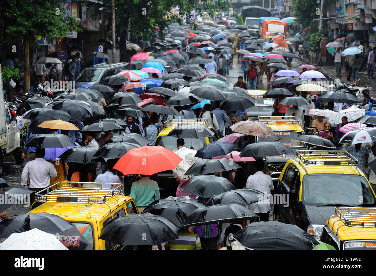 Passanten in der Straße mit Regenschirm in Dadar in Mumbai, Maharashtra, Indien Stockfoto