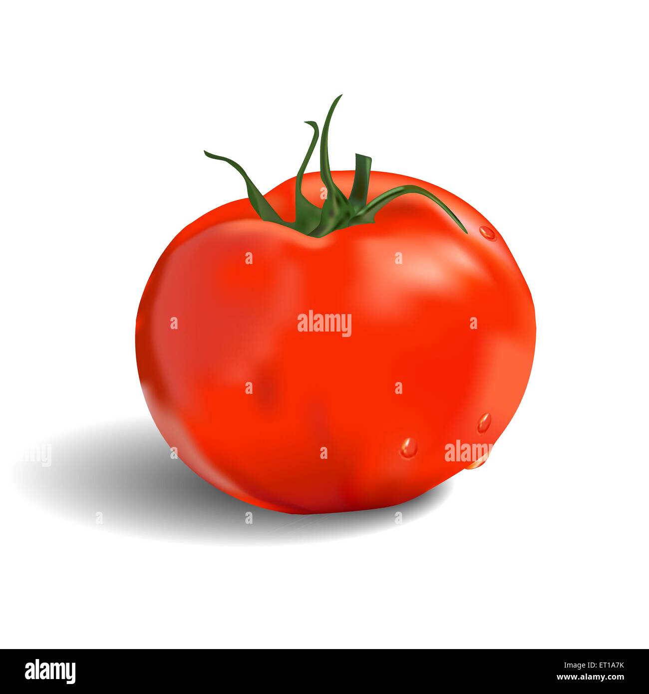 Isolierte rote Tomate mit grünen Blättern - Vektor-Illustration Stock Vektor