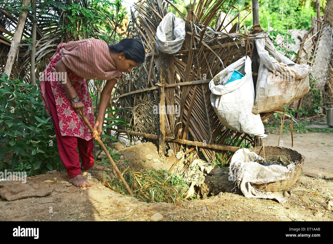 Frauen, die Kompostmist machen, NGO, Chinmaya Organisation für ländliche Entwicklung, CORD, Deuladiha, Telkoi, Kendujhar, Orissa, Odisha, Indien, Asien Stockfoto