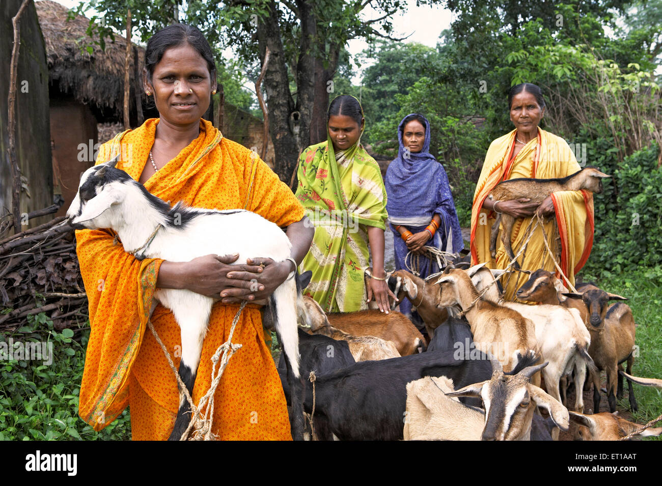 Ländliche Frauen mit Ziegen Tierhaltung Wirtschaftsinitiative gestartet von NGO Chinmaya Organisation für ländliche Entwicklung CORD Indien Asien Stockfoto