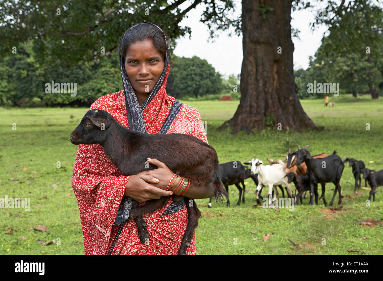 Ländliche Frau mit Ziege Tierhaltung Wirtschaftsinitiative begonnen von NGO Chinmaya Organisation der ländlichen Entwicklung Stockfoto