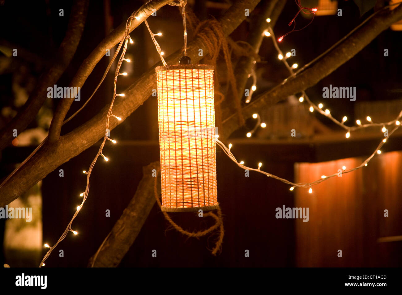 Künstliches Licht-Lampe und kleine Lampen hängen von einem leichten Baumschmuck der Partei; Palolem Beach; Goa; Indien Stockfoto