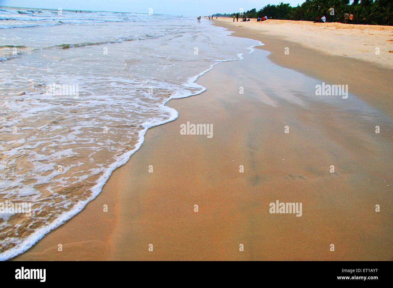 Malpe Beach; Malpe; Udupi; Karnataka; Indien Stockfoto