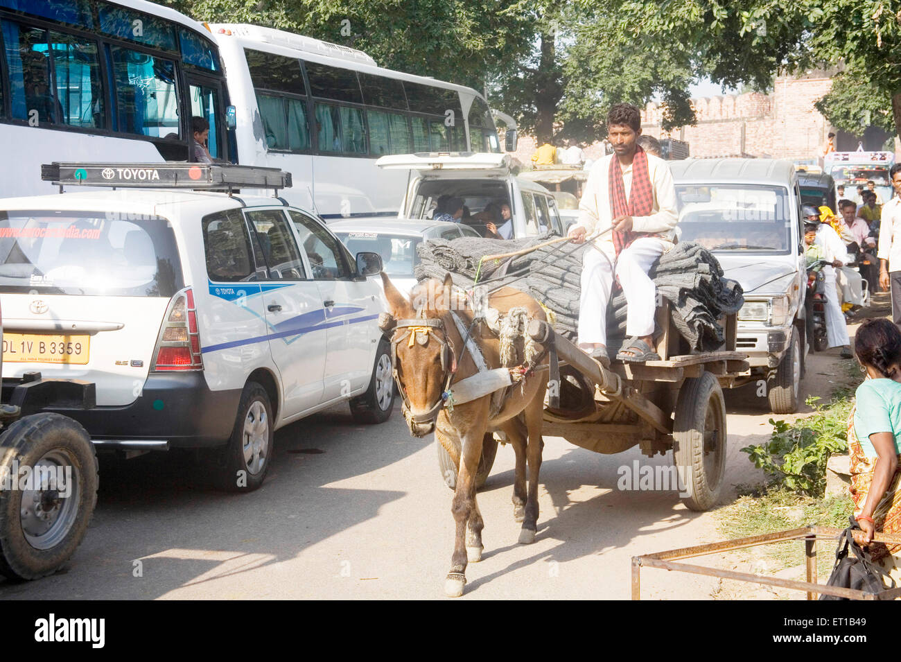 Pferdewagen und Bus im Stau Stau. Fatehpur Sikiri Straße; Uttar Pradesh; Indien Stockfoto