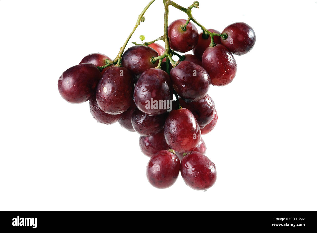 Wassertropfen auf einem Haufen von roten Trauben Obst auf weißem Hintergrund saf 168342 Stockfoto