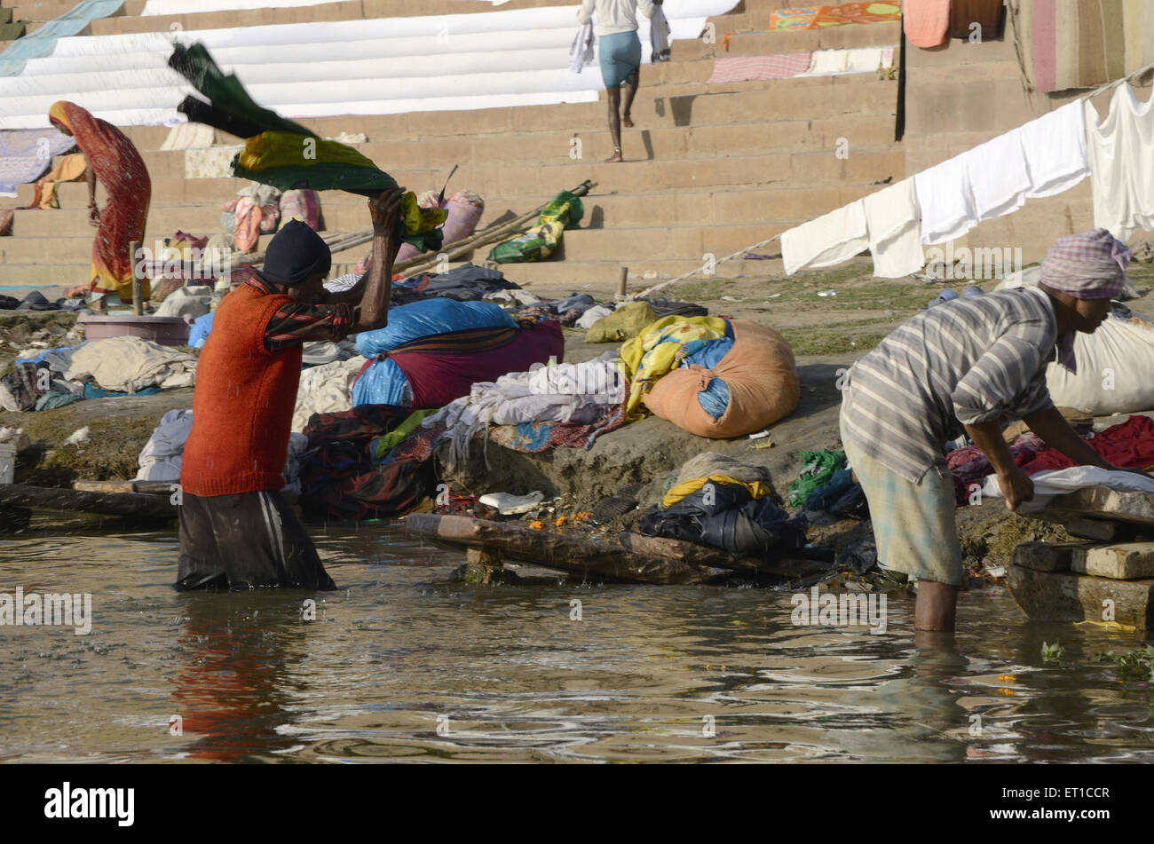 Washermen Wäsche waschen im Fluss Ganges in Varanasi Ghat Uttar Pradesh, Indien Stockfoto