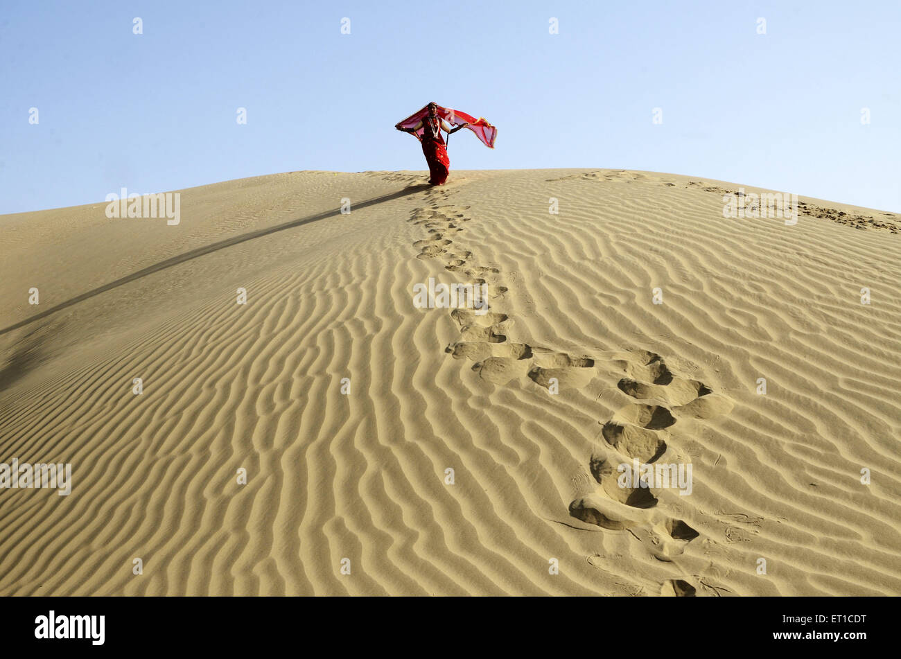 Rajasthani Frau fliegen Dupatta in Sanddüne in Jaisalmer, Rajasthan Indien Stockfoto