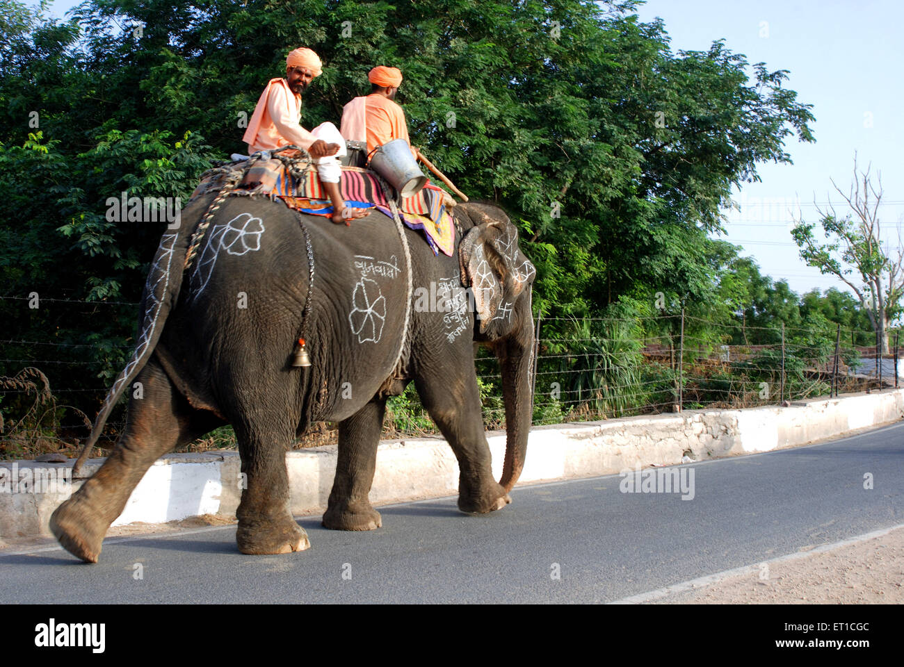 Sadhus auf Elefanten zu Fuß auf der Straße sitzen; Jodhpur; Rajasthan; Indien Stockfoto