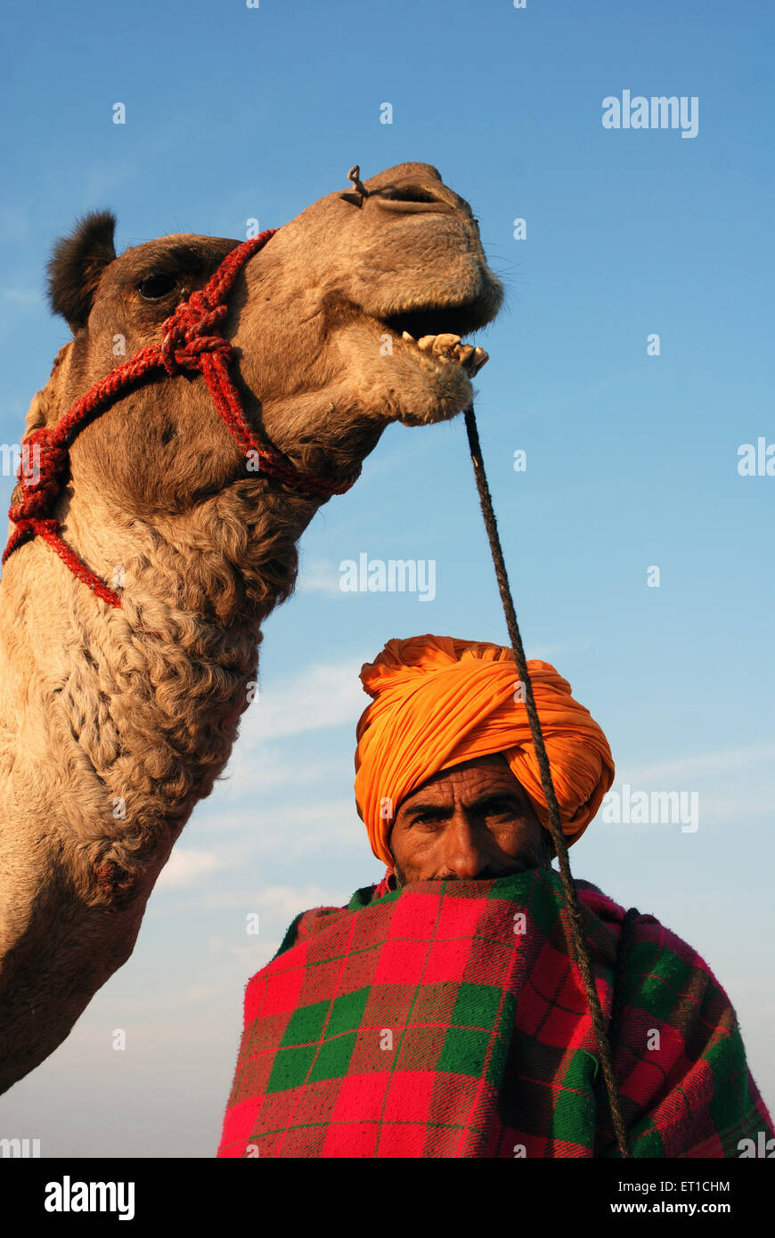 Mensch und Kamel; Khuri Khuhri; Jaisalmer; Rajasthan; Indien NOMR Stockfoto