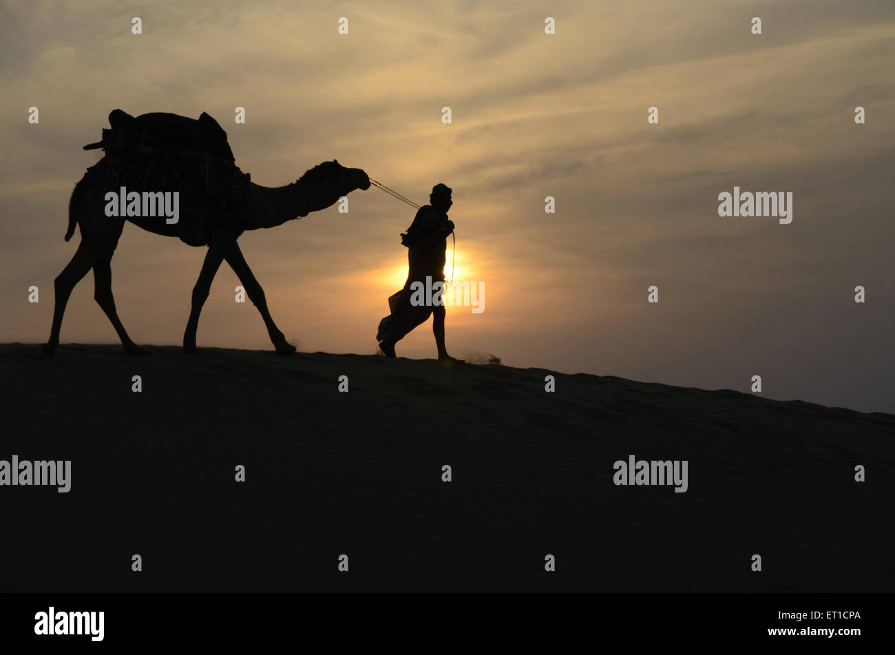 Kamel und Mann gehen auf Sand Düne Sonnenuntergang in Jaisalmer, Rajasthan Indien Stockfoto
