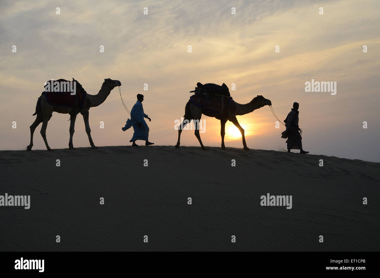 Kamele und Männer gehen auf Sand Düne Sonnenuntergang in Jaisalmer, Rajasthan Indien Stockfoto