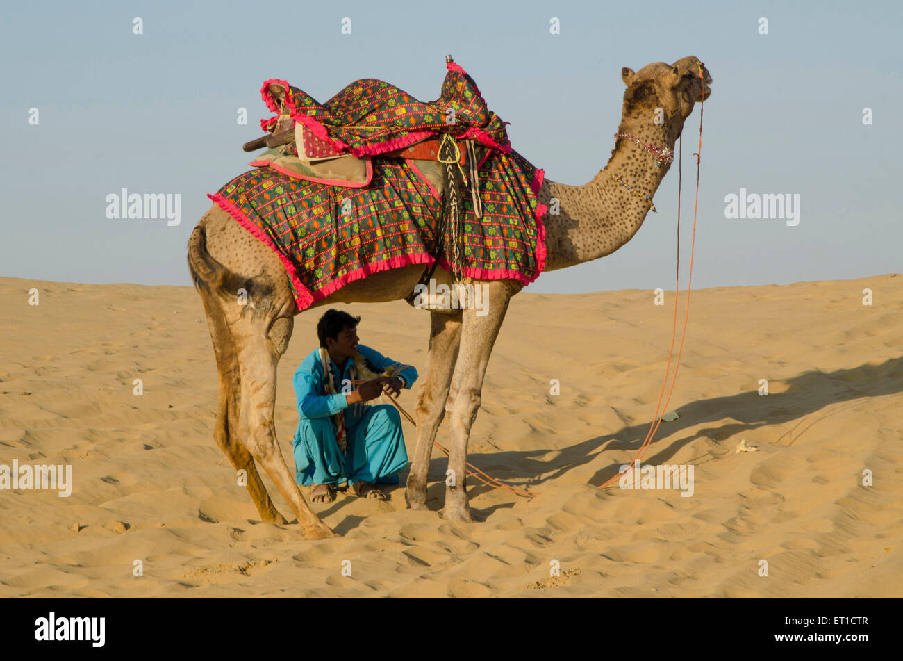 Kamel und Mann auf Sanddüne Thar Wüste Sam Jaisalmer aus Rajasthan Indien Stockfoto