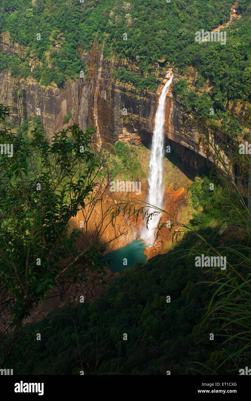 Noh Kalikai Fall; Nohkalikai Falls; Cherrapunji; Meghalaya; Indien; Asien; Asiatisch; Indisch Stockfoto