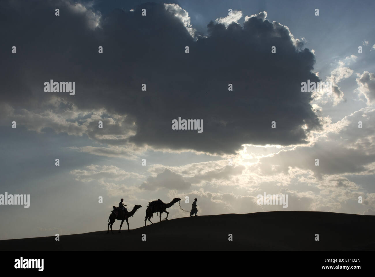 Männer mit Kamelen zu Fuß auf Sand Düne von Khuhri; Jaisalmer; Rajasthan; Indien Stockfoto