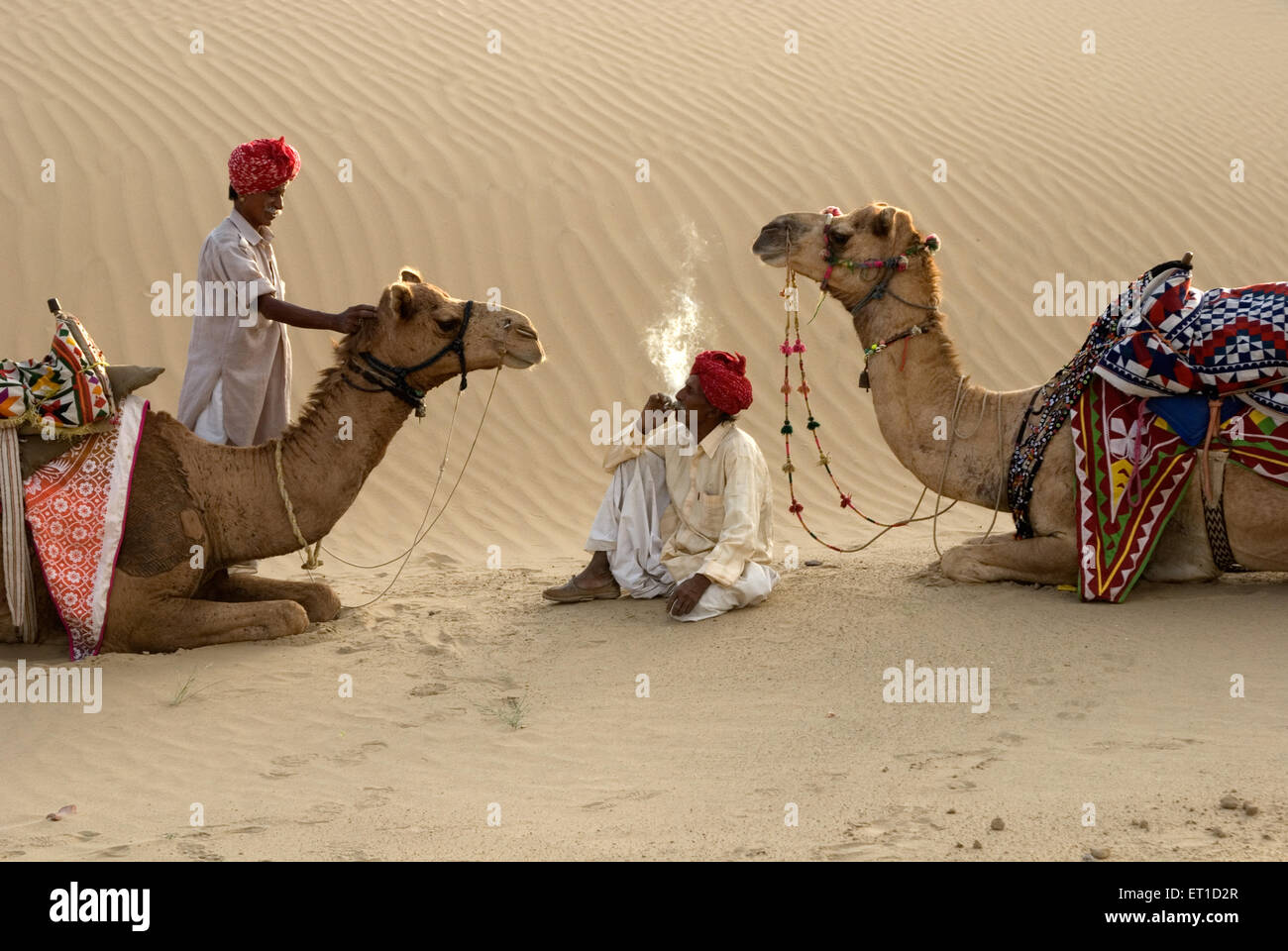 Männer mit Kamelen Rast in der Wüste von Khuhri; Jaisalmer; Rajasthan; Indien Stockfoto
