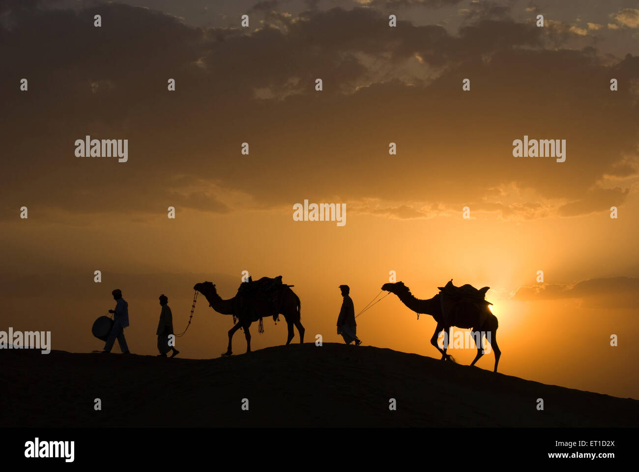 Männer mit Kamelen zu Fuß auf Sand Düne von Khuhri; Jaisalmer; Rajasthan; Indien Stockfoto