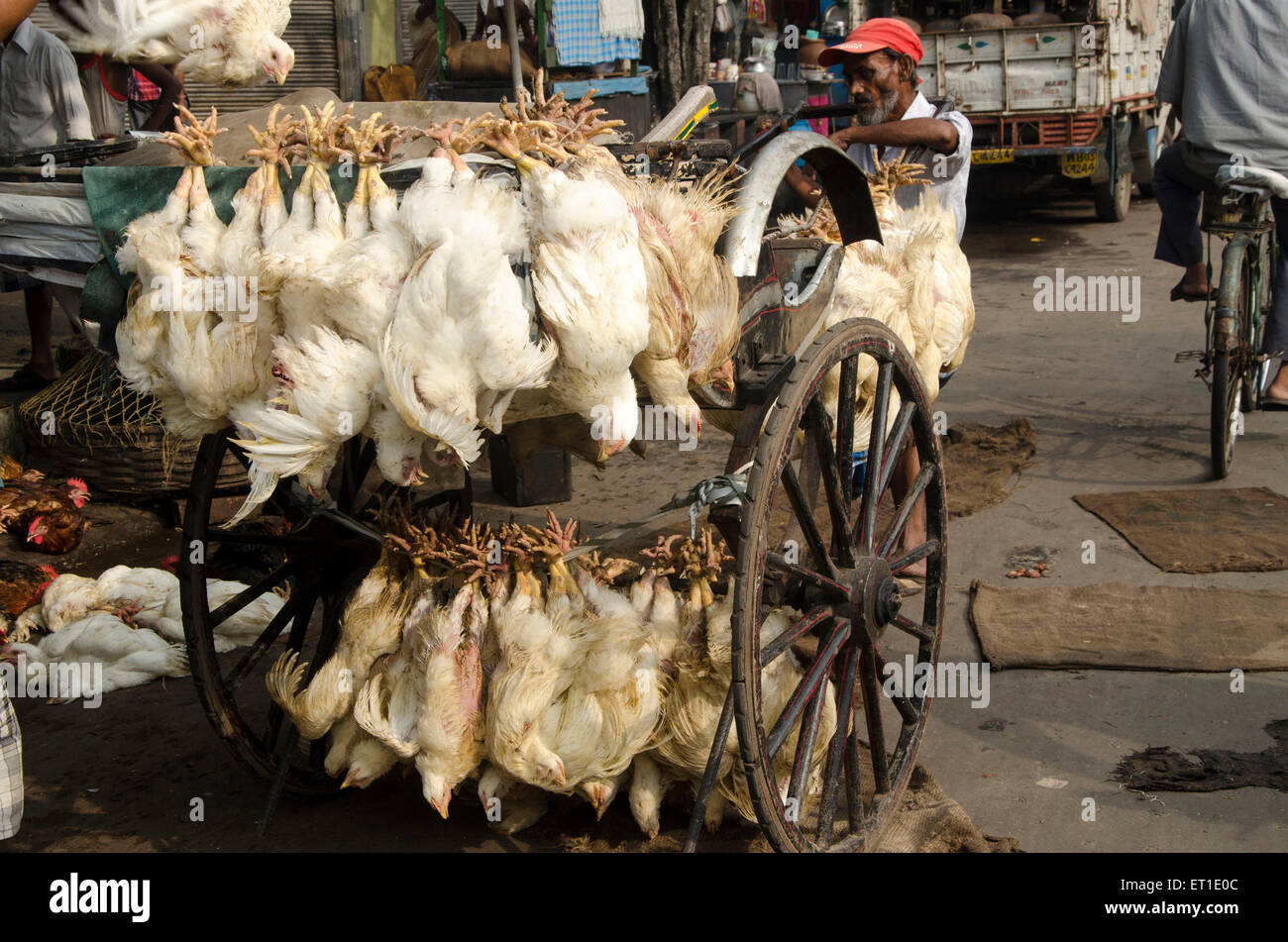 Hühner, die hängende Hand Rikscha Kalkutta West Bengal Indien Asien Stockfoto