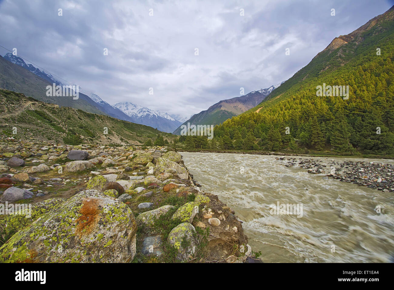 Chitkul Landschaft Himachal Pradesh, Indien Stockfoto