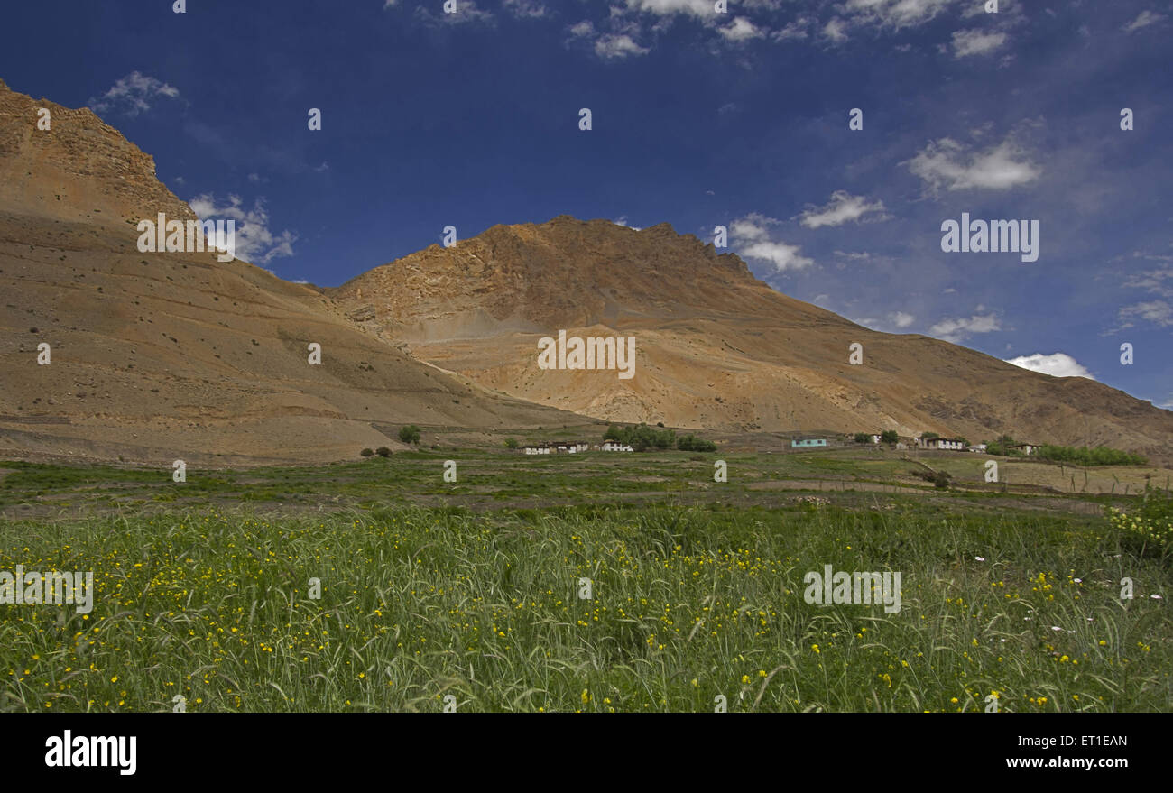 Spiti Valley in Himachal Pradesh, Indien Stockfoto