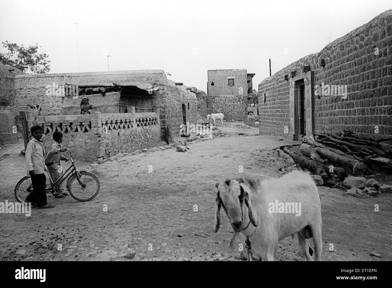 Dorf-Szene; Maharashtra; Indien Stockfoto